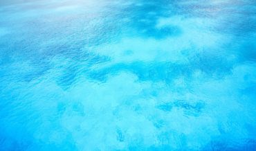 Estrategia de Océano Azul 4.9 (15)