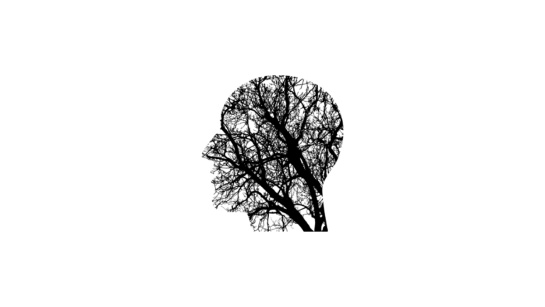 autoconocimiento mentor