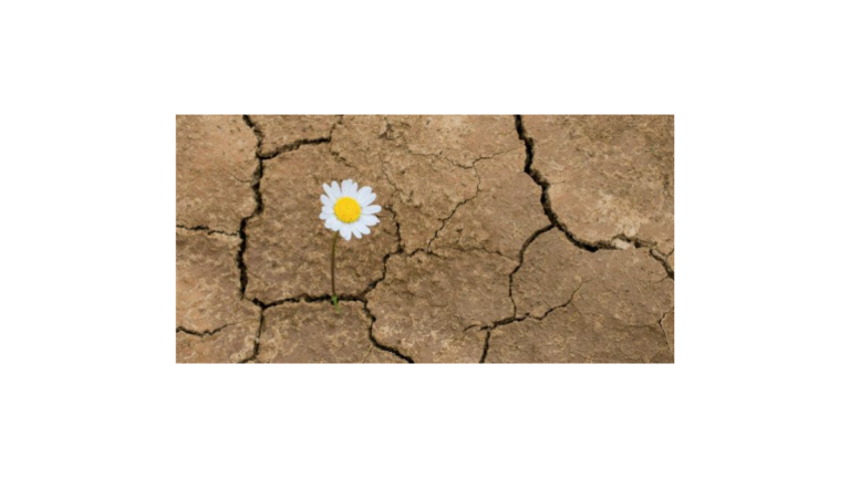 Resiliencia estratégica