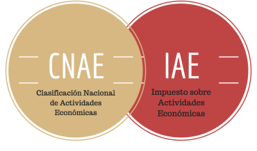 Differences between CNAE and IAE 0 (0)
