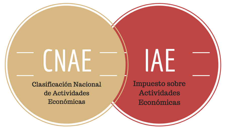 Diferencias entre CNAE e IAE 0 (0)