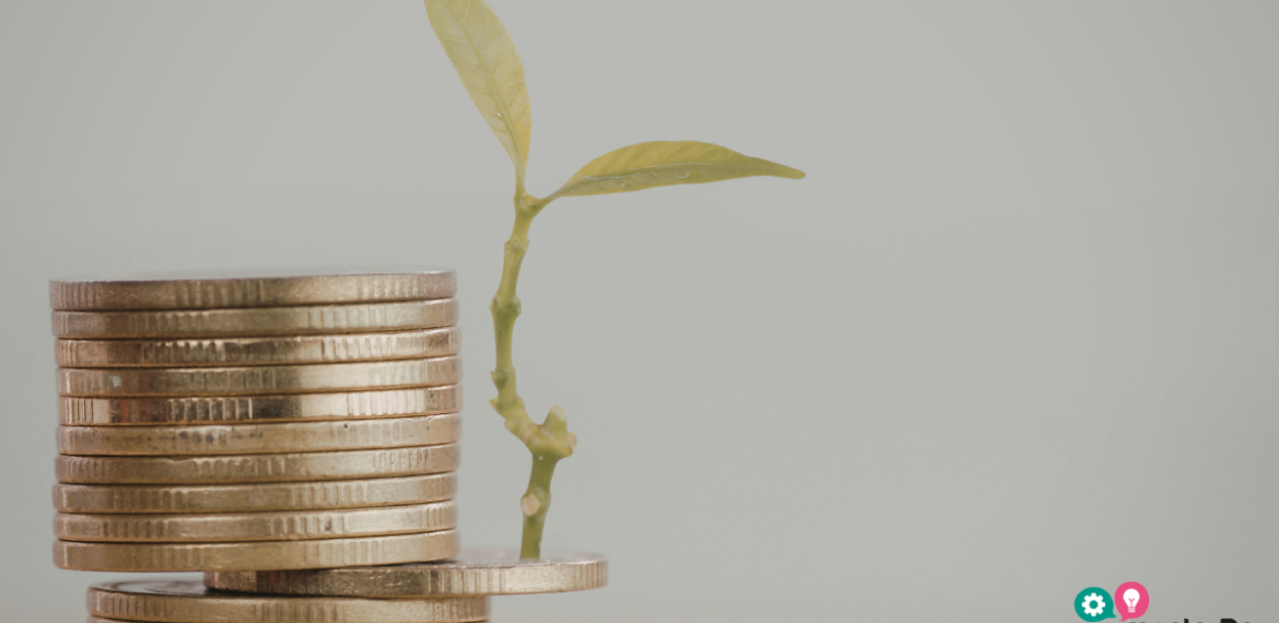 Financiación del crecimiento de la empresa 4.6 (11)