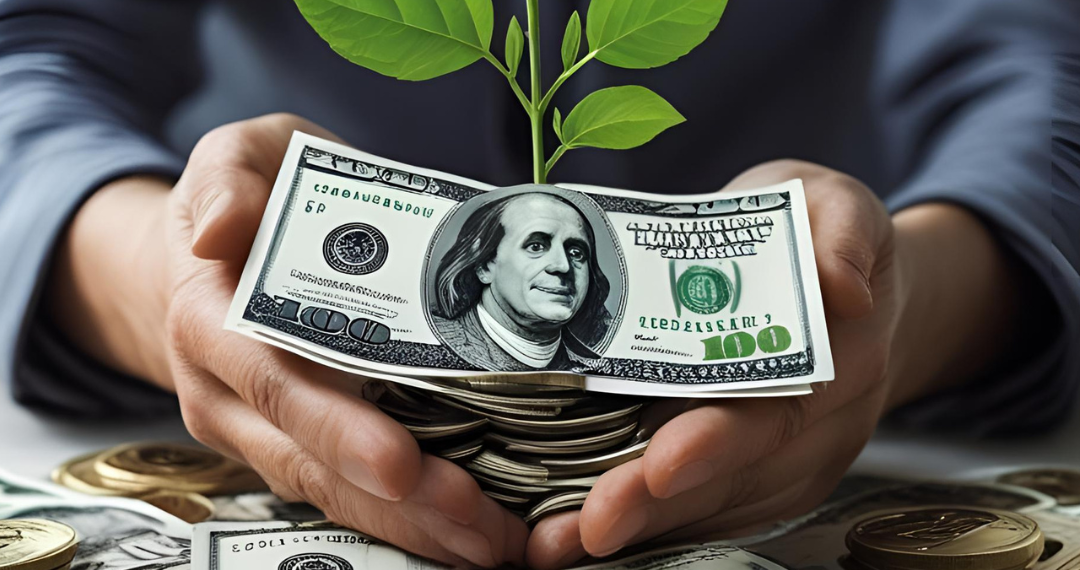 Fuentes de ingresos de una empresa sostenible 4.8 (129)