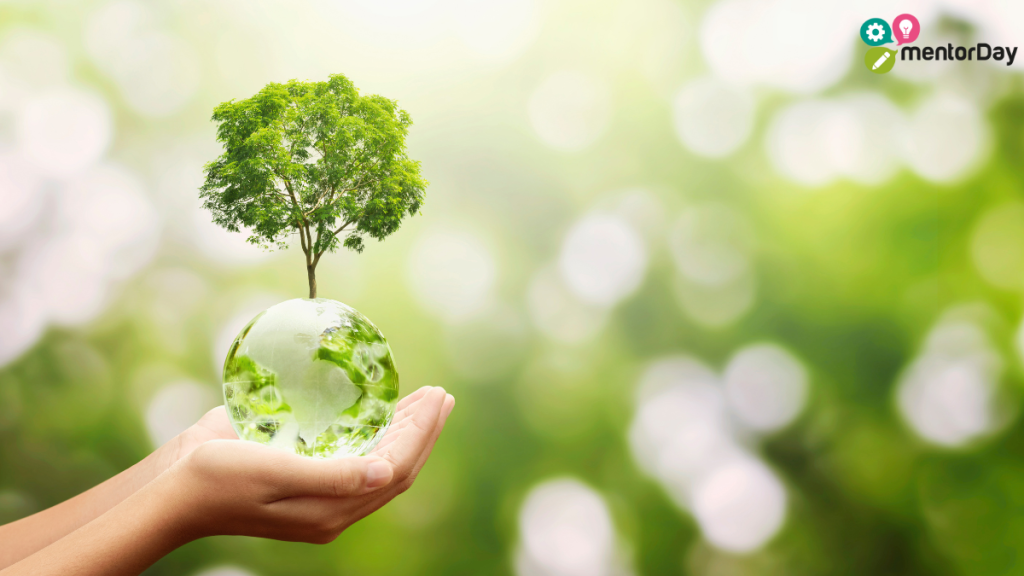 fuentes de ingresos empresa sostenible