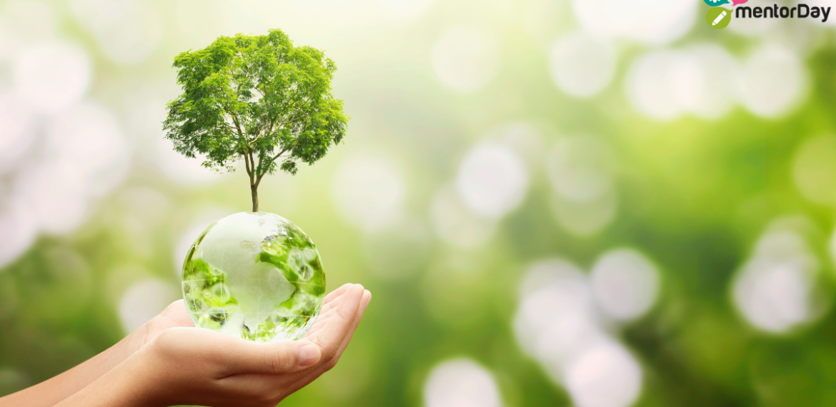 Fuentes de ingresos de una empresa sostenible 4.8 (146)