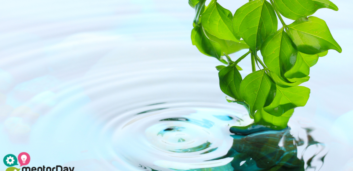 Cómo Rafael Jiménez combate la resaca y crea bienestar con Blue Queen 5 (5)