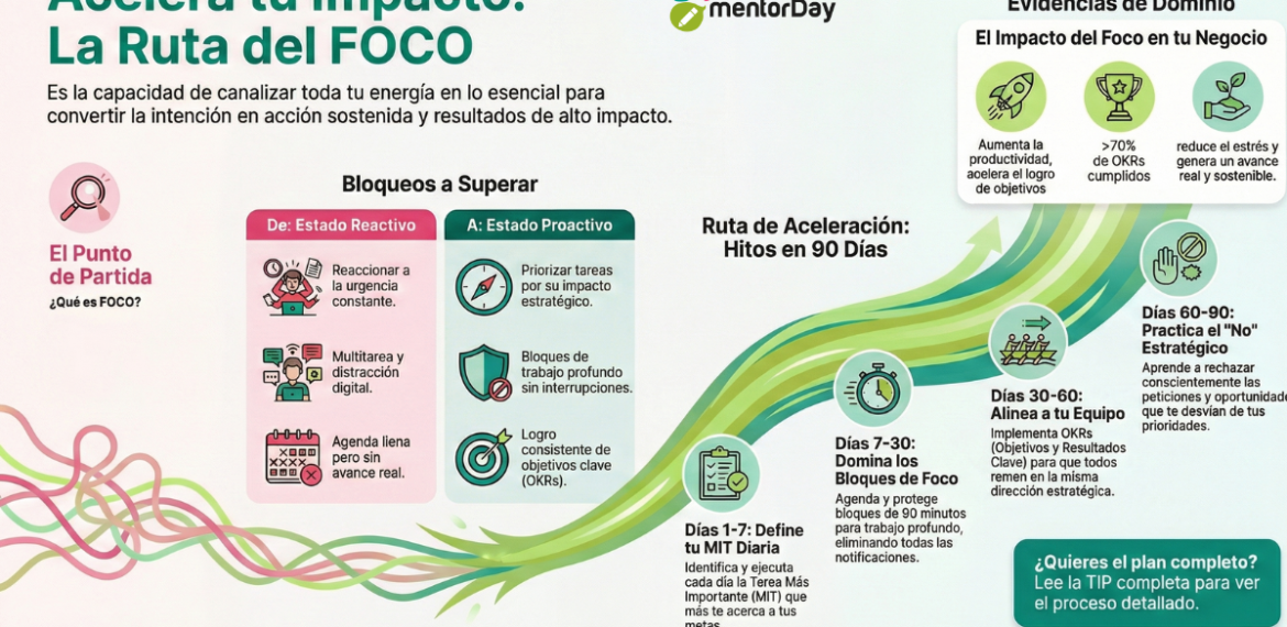 Foco: Maximiza Tu Atención Y Energía 0 (0)