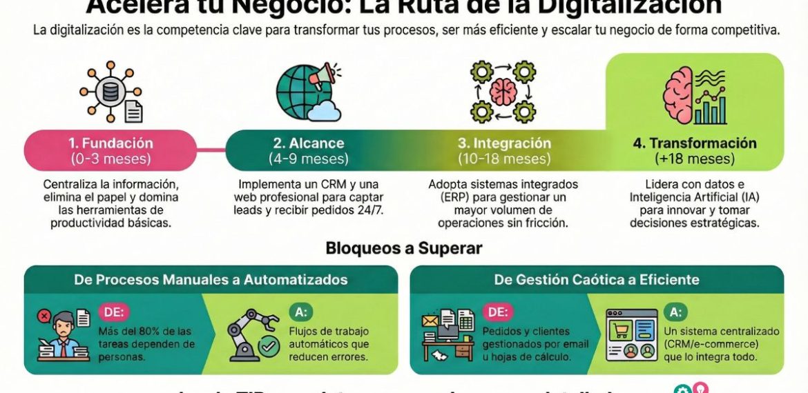 Digitalización: Transforma Tu Empresa Y Tus Procesos 4.8 (6)