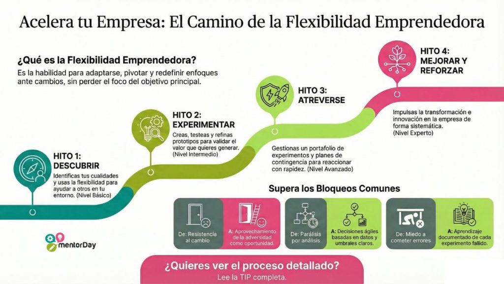 Competencia Flexibilidad Emrpendedora