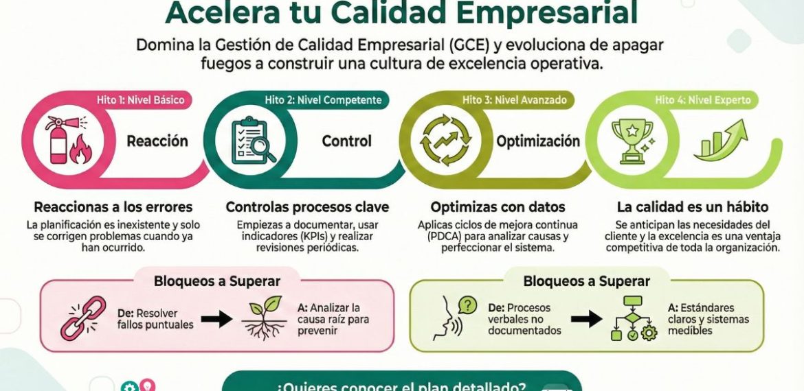 Gestión De Calidad: Mejora Continuamente Tu Empresa 0 (0)