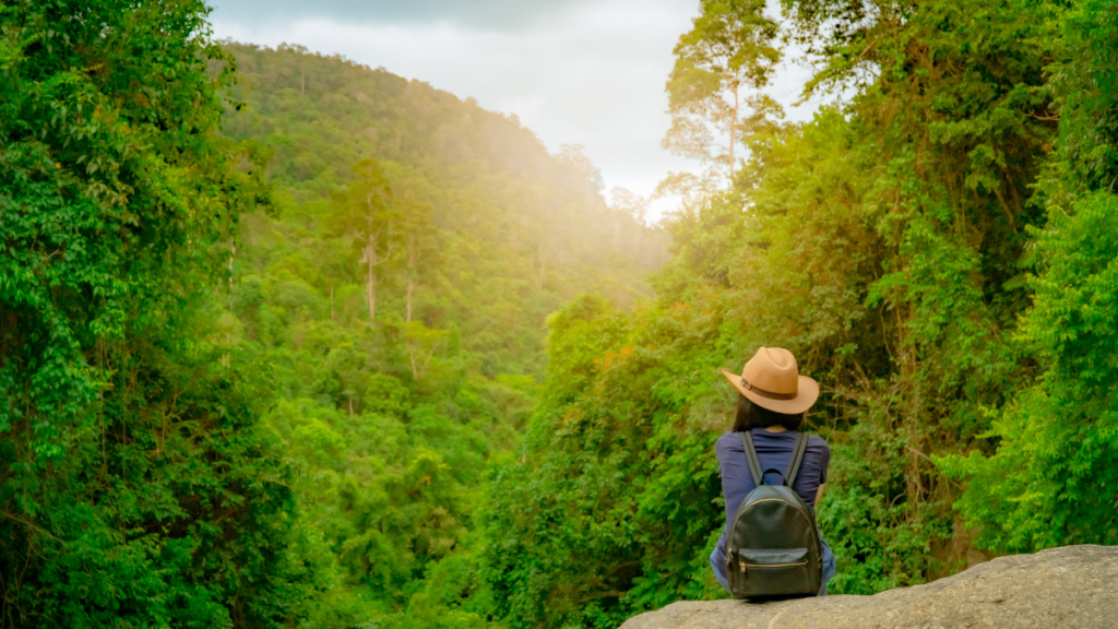 silver ecoturismo rural
