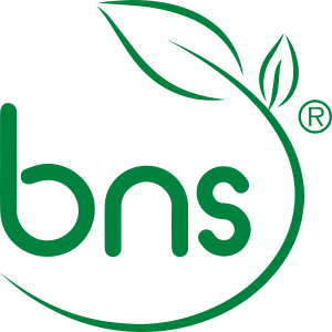 logo bns