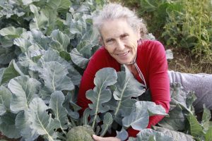 mes que horta isabel