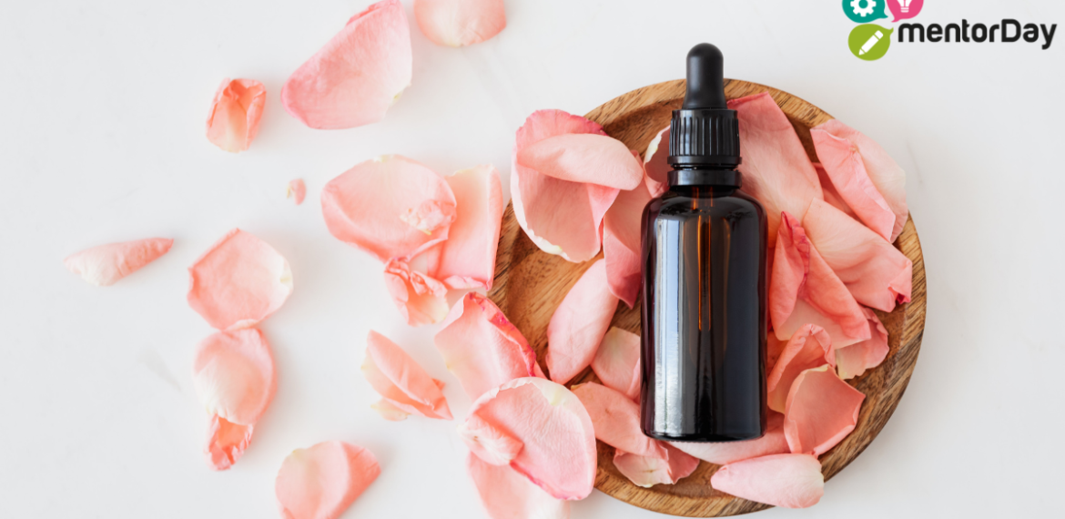 Caso de optimización logística digital con Lynss 4.8 (9)