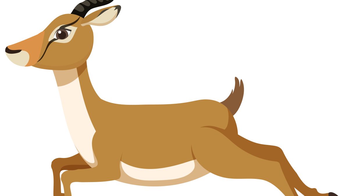 mentorDay impulsa la creación de empresas gacela, clave para el empleo y el desarrollo económico -