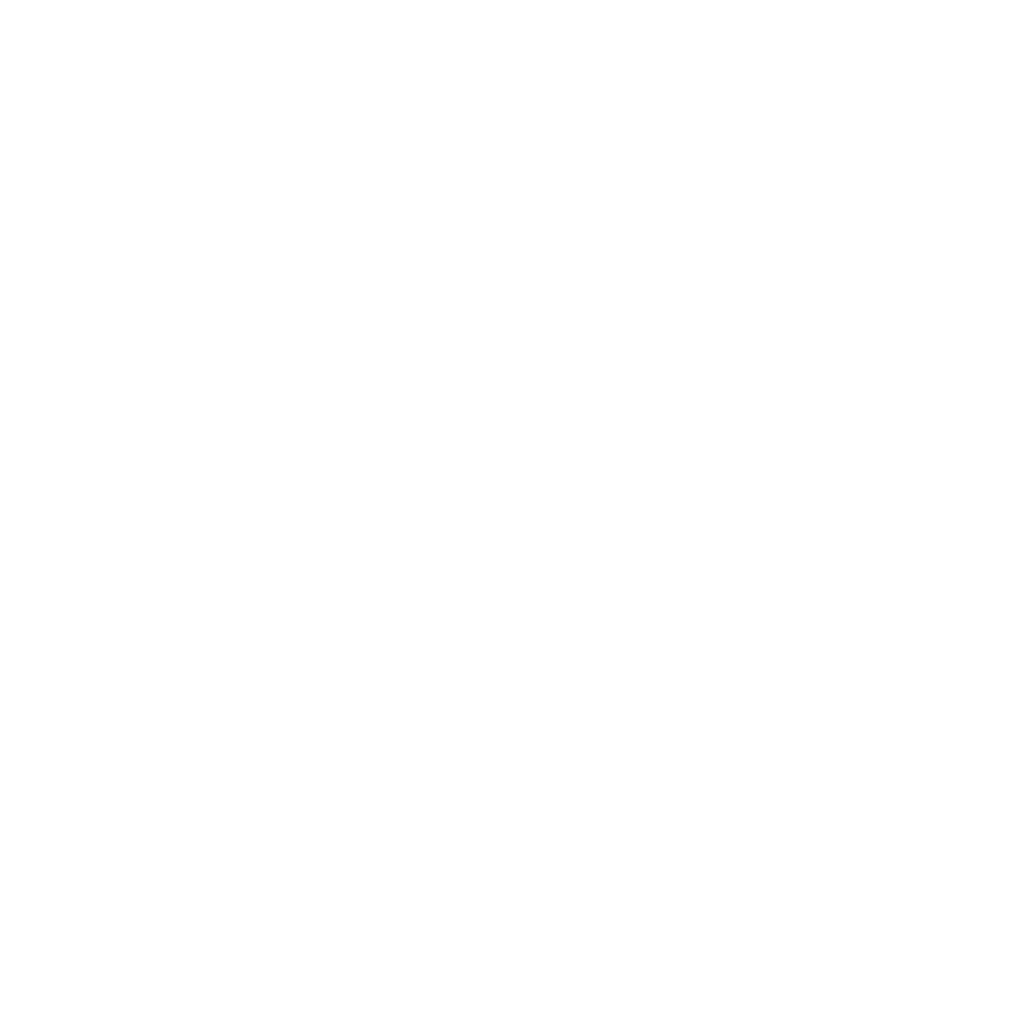 Programa de Aceleración mentorDay -