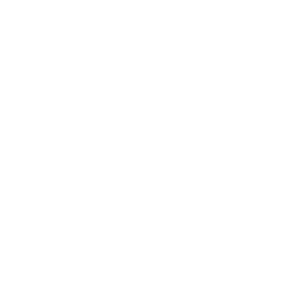 Programa de Aceleración mentorDay -