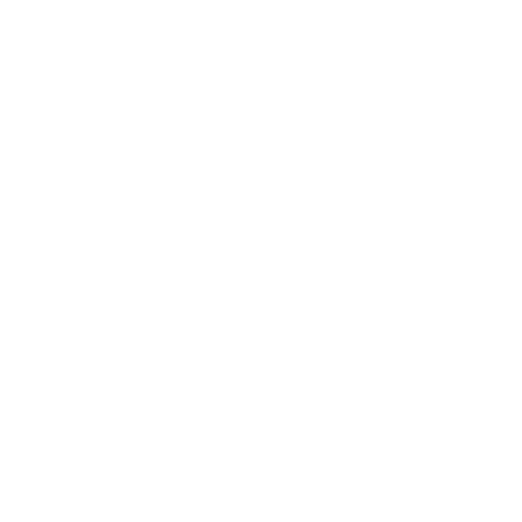 Programa de Aceleración mentorDay -