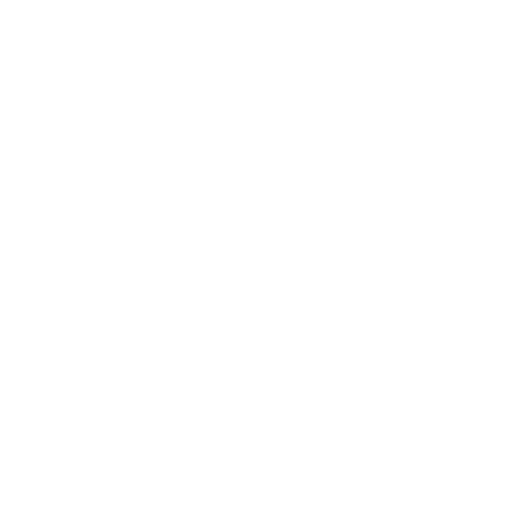 Programa de Aceleración mentorDay -